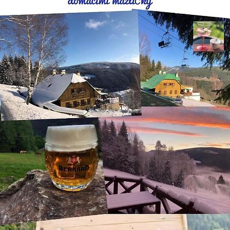 Penzion Alenka ชปินด์เลอรูฟ มลิน ภายนอก รูปภาพ